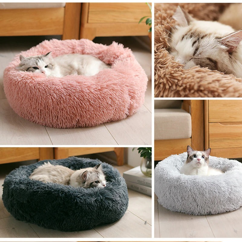 Pet Sleep Bed