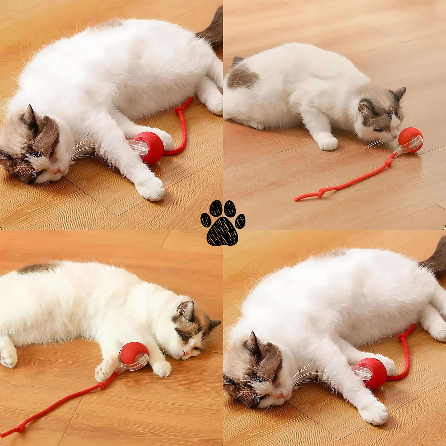 Super Drive Cat Toy Ball