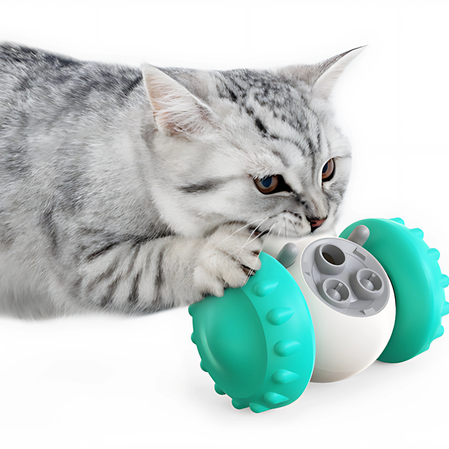 Interactive Pet Feeder