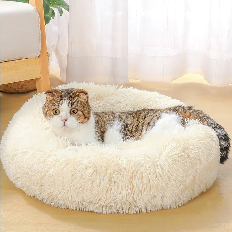 Pet Sleep Bed