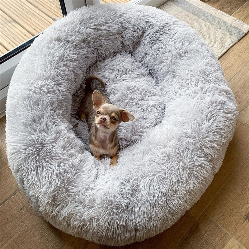 Pet Sleep Bed