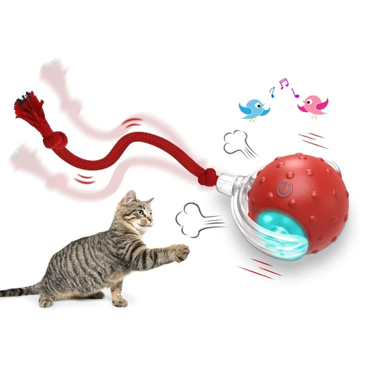 Super Drive Cat Toy Ball